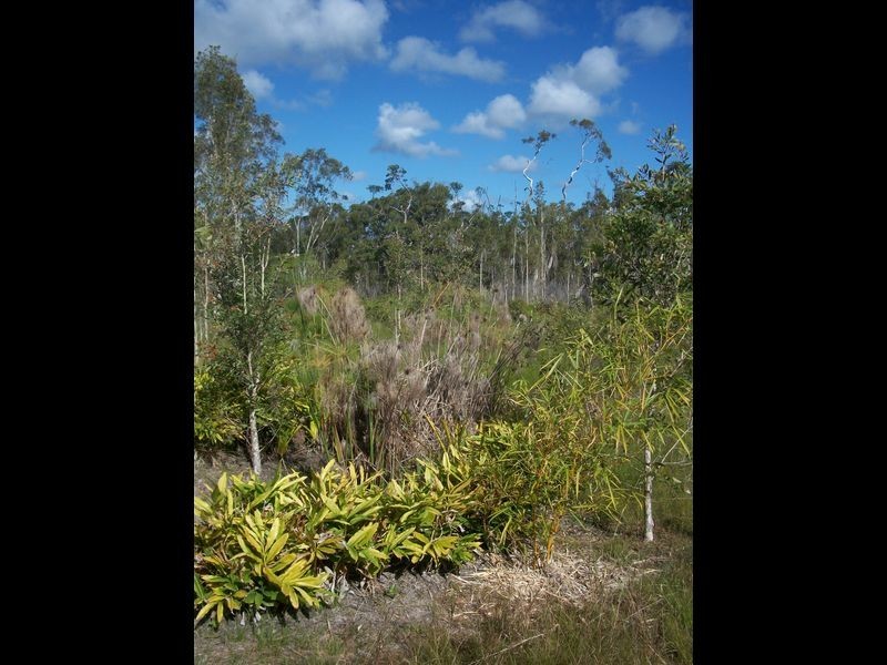 30 Seawitch Cres, Cooloola Cove QLD 4580