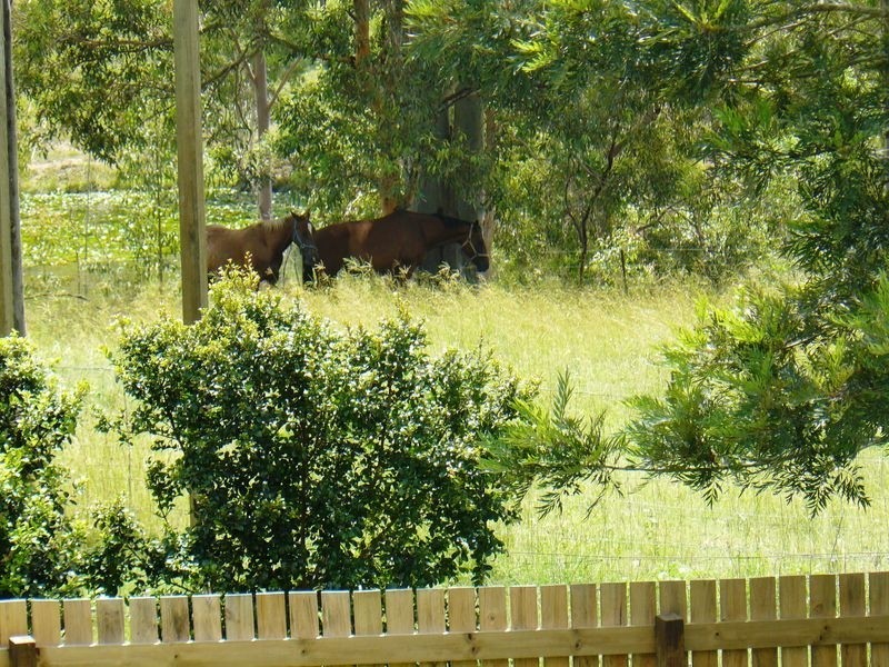 77 Ces Rivers Road, Tamaree QLD 4570