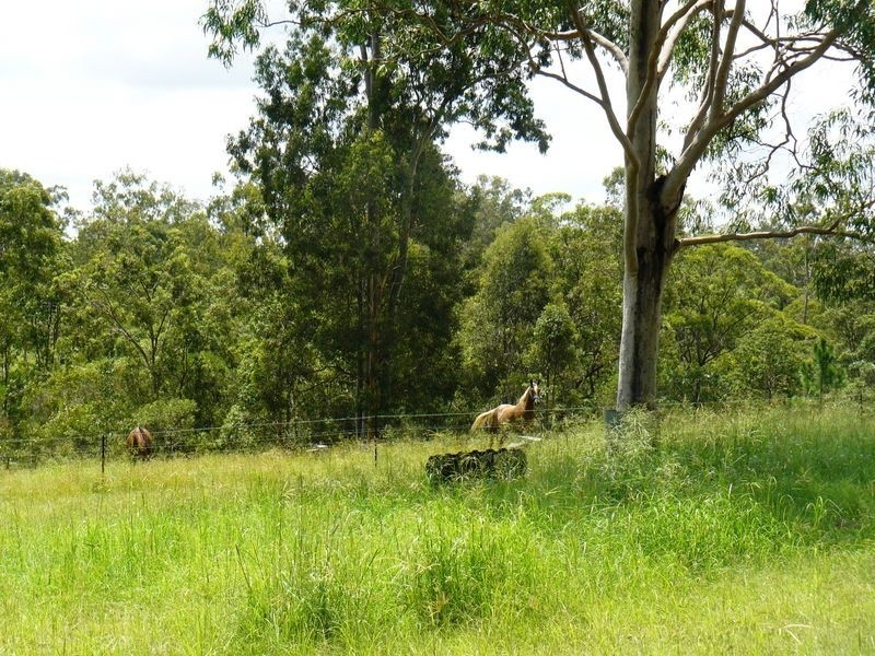 77 Ces Rivers Road, Tamaree QLD 4570