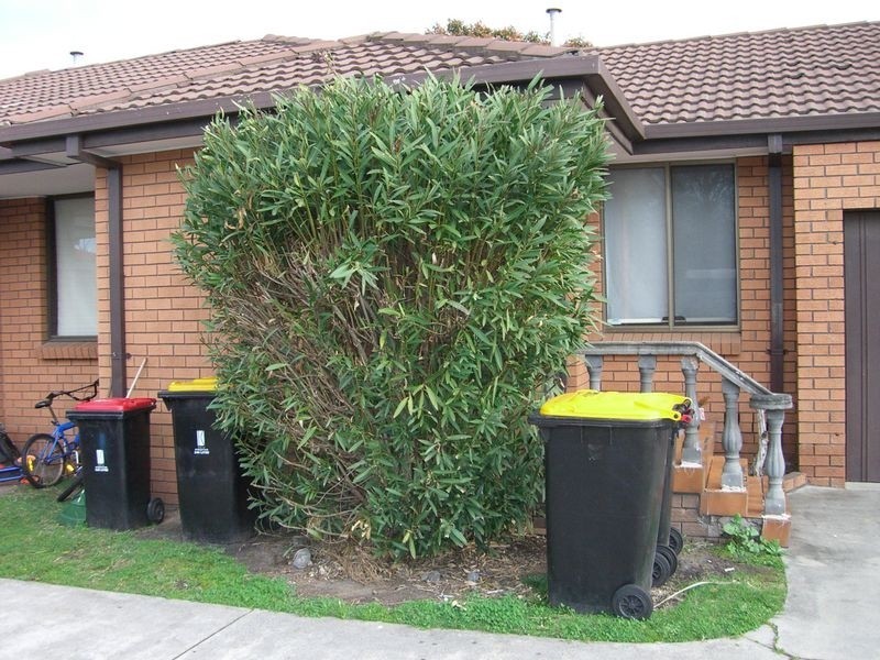 Clayton South VIC 3169