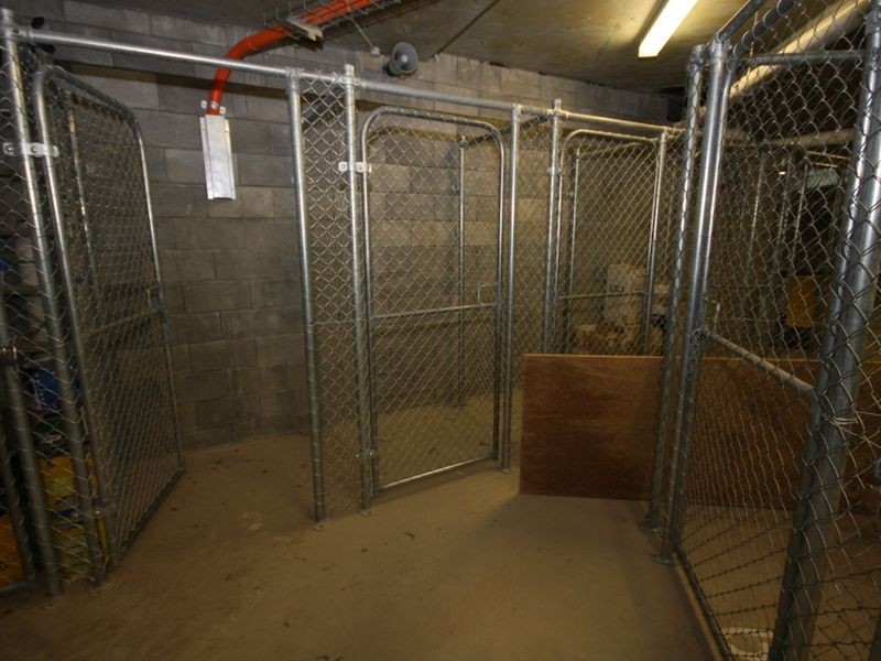 11/28 Burton Avenue, Clayton VIC 3168