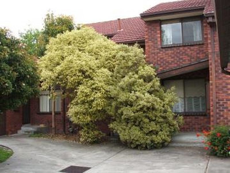 3/11 Yarram Crescent, Clayton VIC 3168