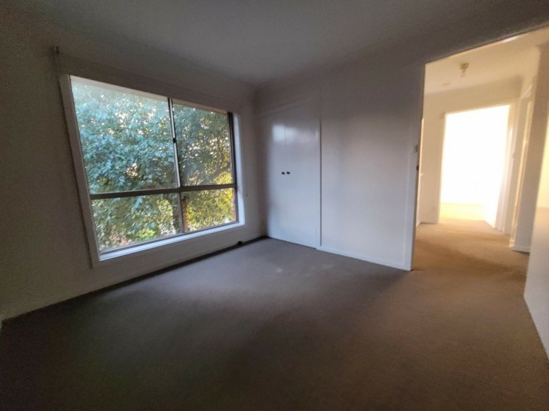 Unit 3/8 Evelyn Street, Clayton VIC 3168