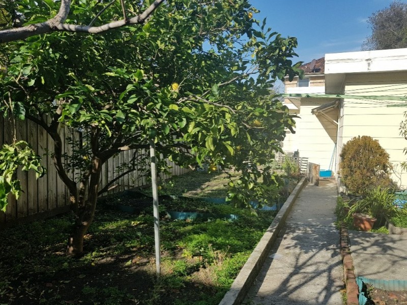 46 Scott Street, Elwood VIC 3184