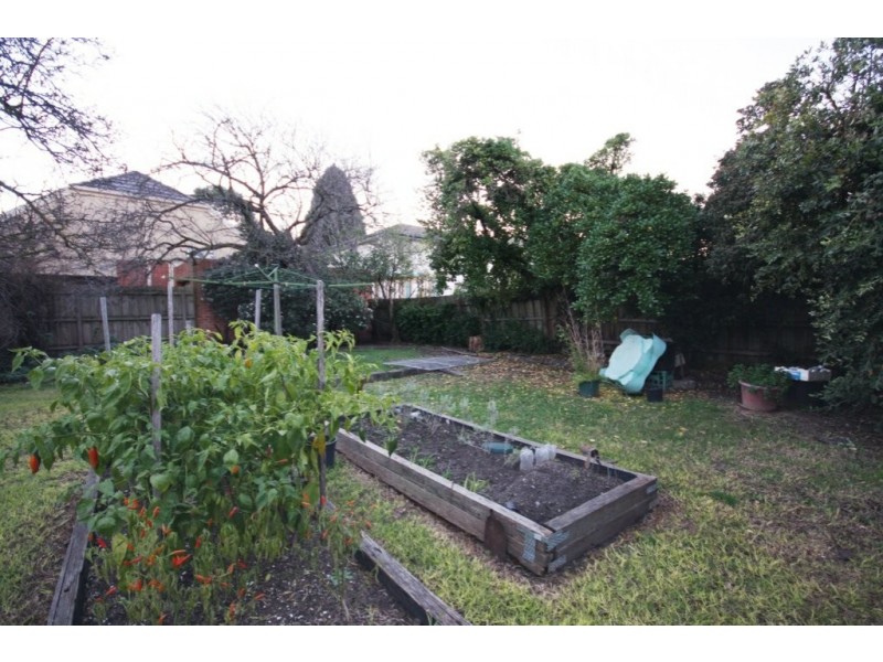 19 Dennis Street, Clayton VIC 3168
