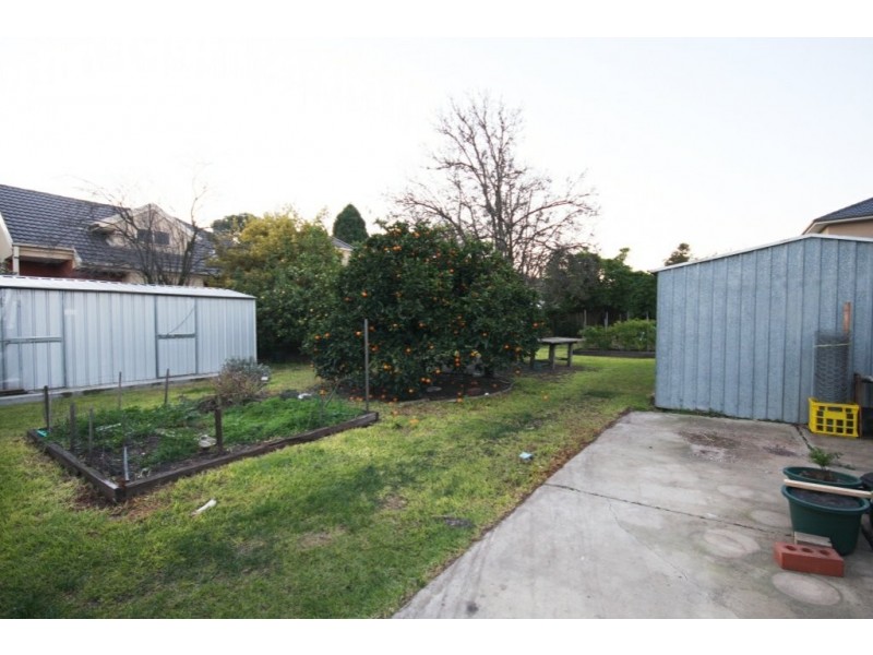 19 Dennis Street, Clayton VIC 3168