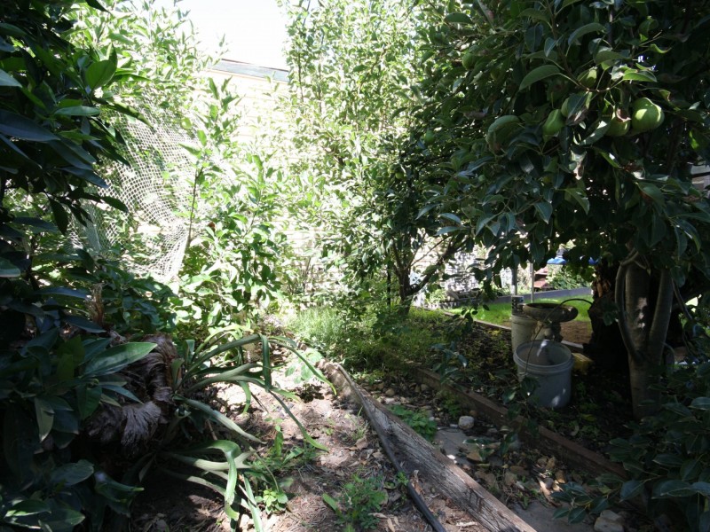 14 Floriana Ave, Doveton VIC 3177