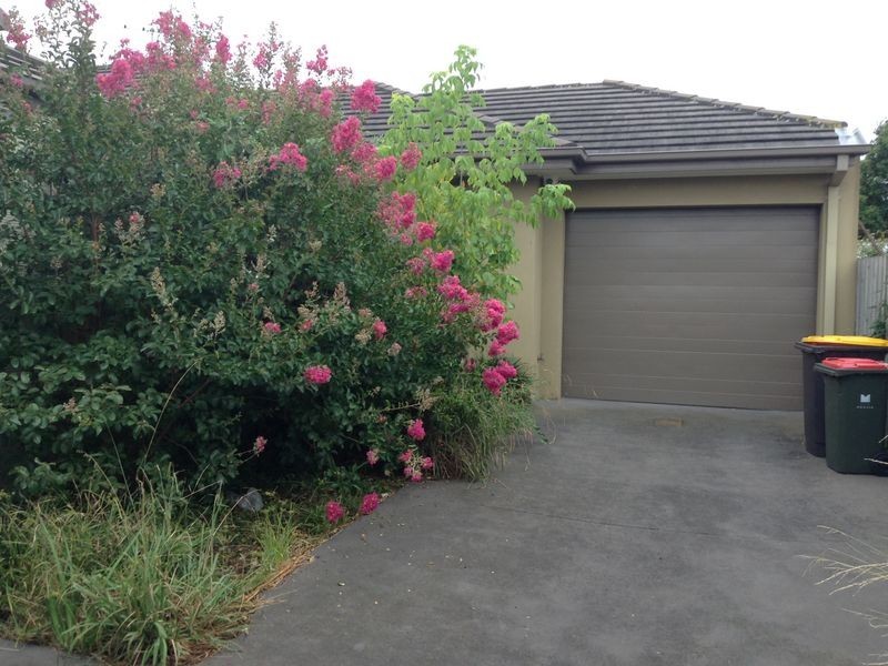 3/25 Dunstan Street, Clayton VIC 3168