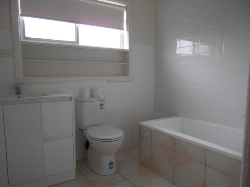 50A Evelyn Street, Clayton VIC 3168