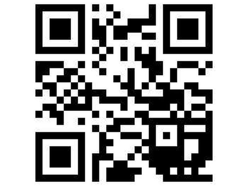 4 TAMALA AVENUE, Notting Hill VIC 3168