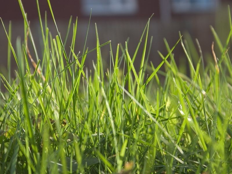 2/14 HADKINSON STREET, Clayton South VIC 3169