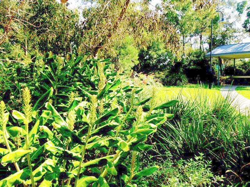 Notting Hill VIC 3168