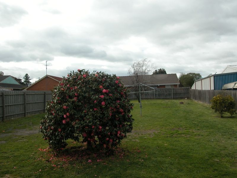 12 Arunta Crescent, Clayton VIC 3168