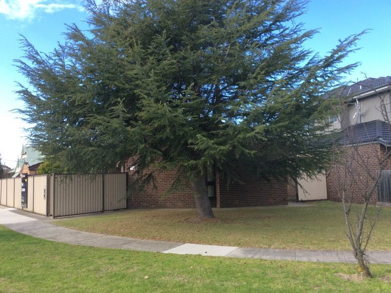 1/2 Thompson Street, Clayton VIC 3168