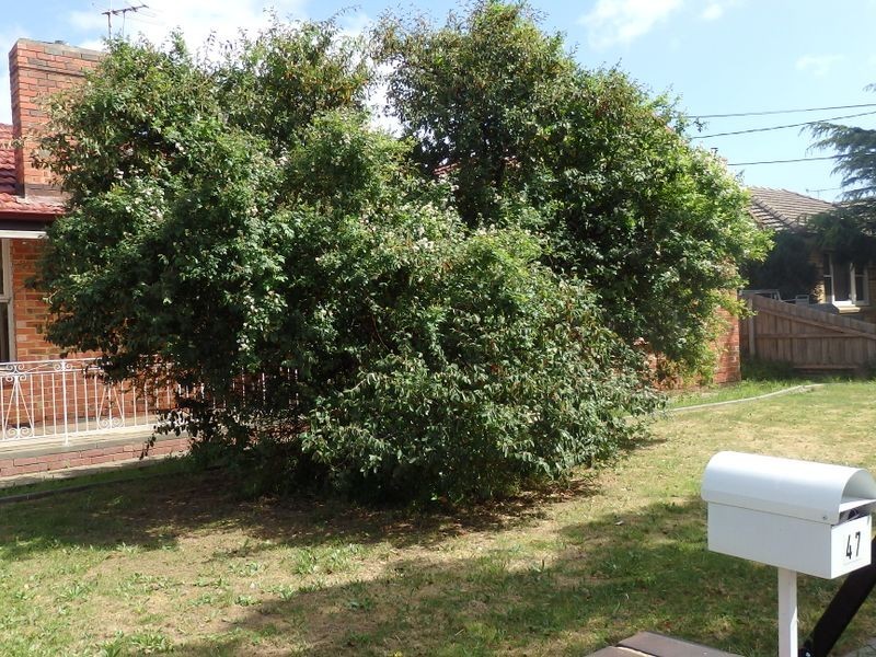 47 Stockdale Avenue, Clayton VIC 3168