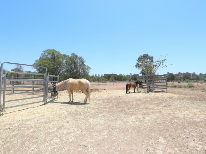 5 Coolibah Pl, Emerald QLD 4720