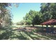 10 Peggy Court, Emerald QLD 4720
