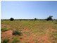 578 Silks Road, Capella QLD 4723