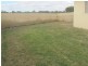 Capella QLD 4723