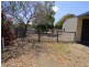 Capella QLD 4723