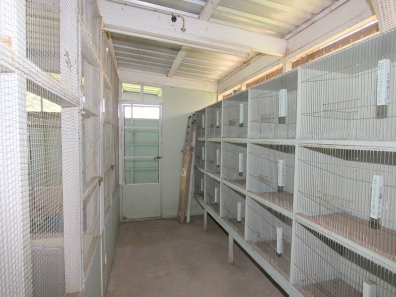 35 Tourmaline Drive, Emerald QLD 4720