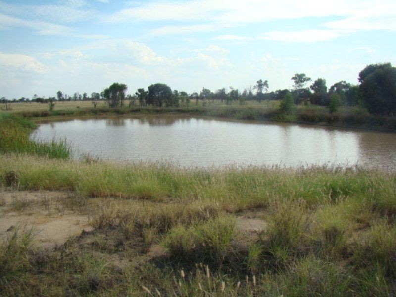 Emerald QLD 4720