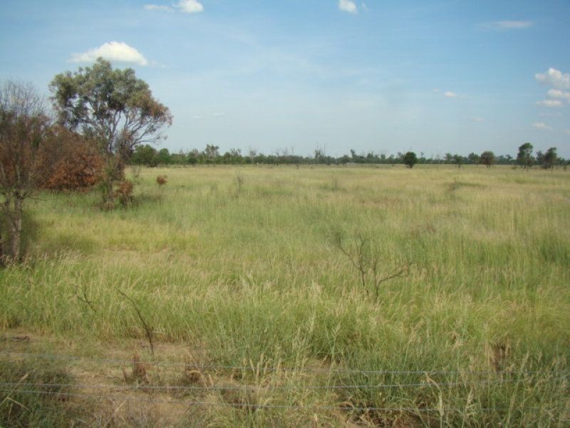 Emerald QLD 4720