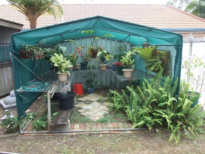 6 Rialto Court, Urangan QLD 4655