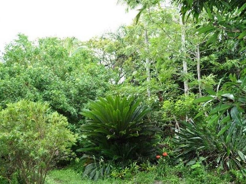 31 Tavistock Street, Torquay QLD 4655