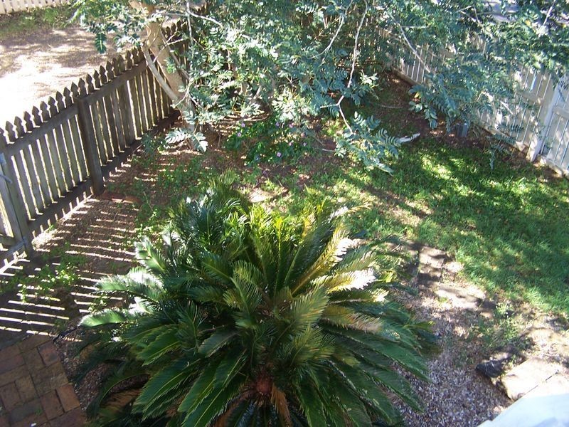 5 Porter Street, Point Vernon QLD 4655
