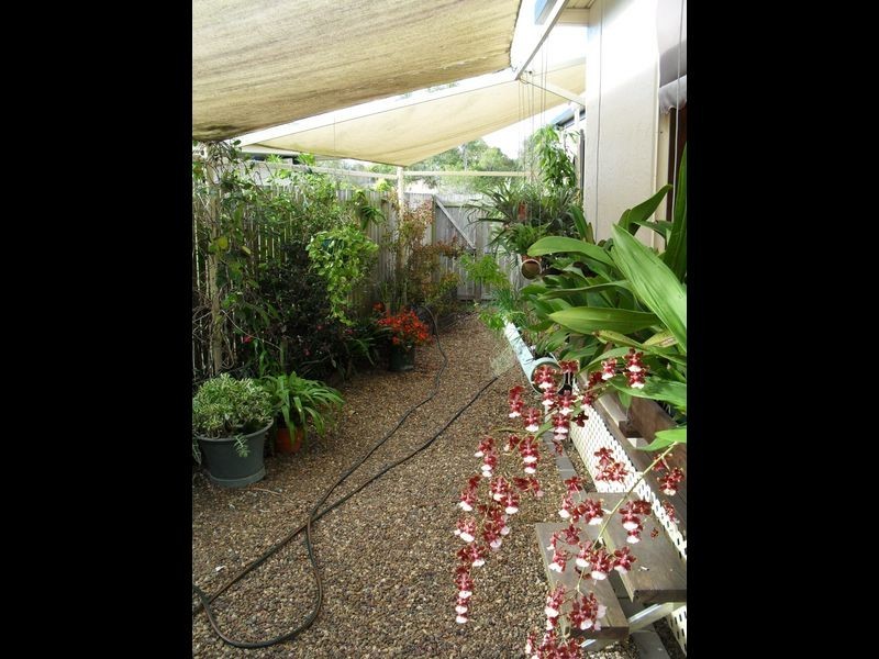 8 Shoreline Court, Urangan QLD 4655