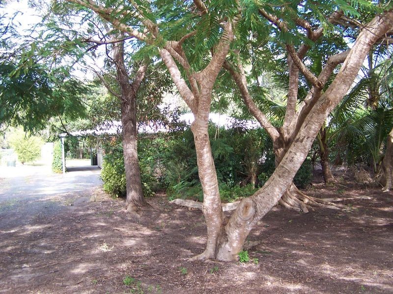 252 Oregan Creek Road, Toogoom QLD 4655