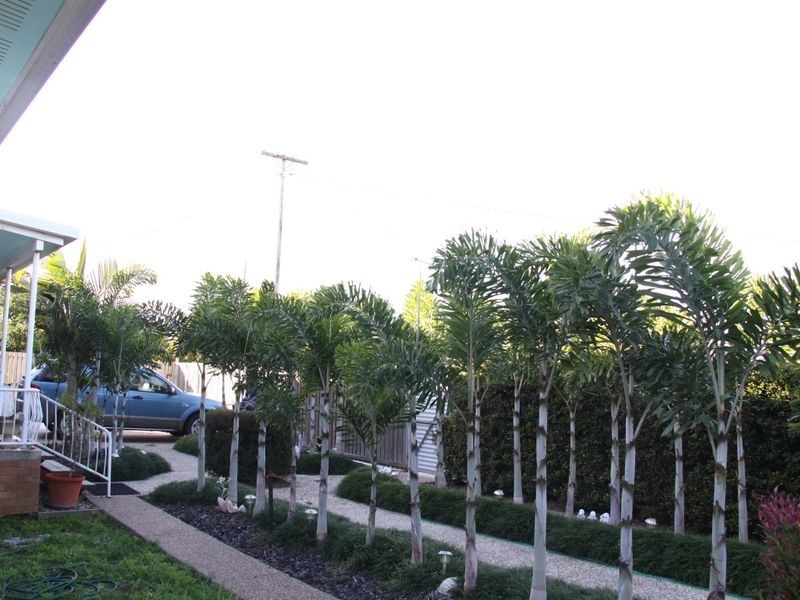 53 Bideford Street, Torquay QLD 4655