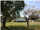 19 Beach Road, Pialba QLD 4655