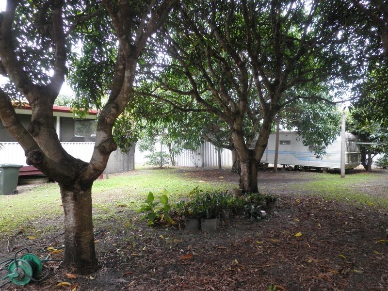 31 Dreamtime Avenue, Burrum Heads QLD 4659