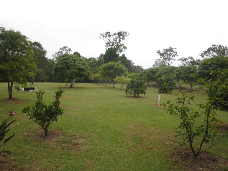 31 Dreamtime Avenue, Burrum Heads QLD 4659