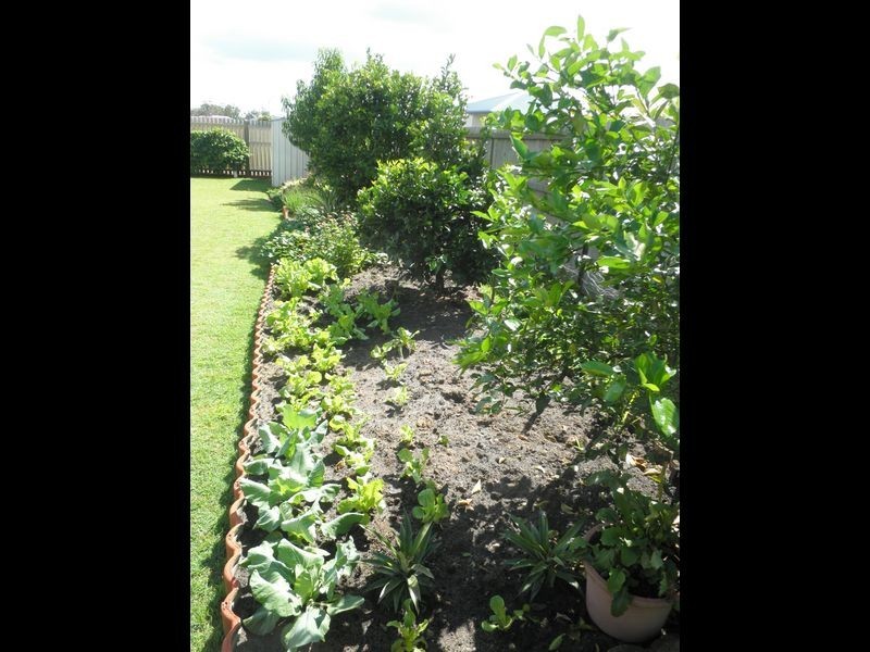 15 Louise Drive, Burrum Heads QLD 4659