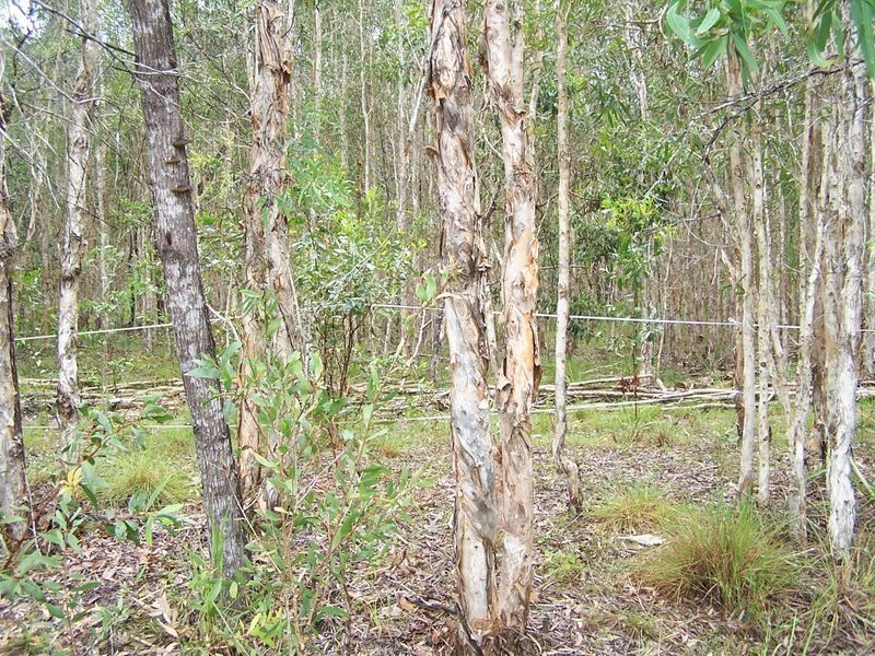 52/60 Wheeley Road, Booral QLD 4655