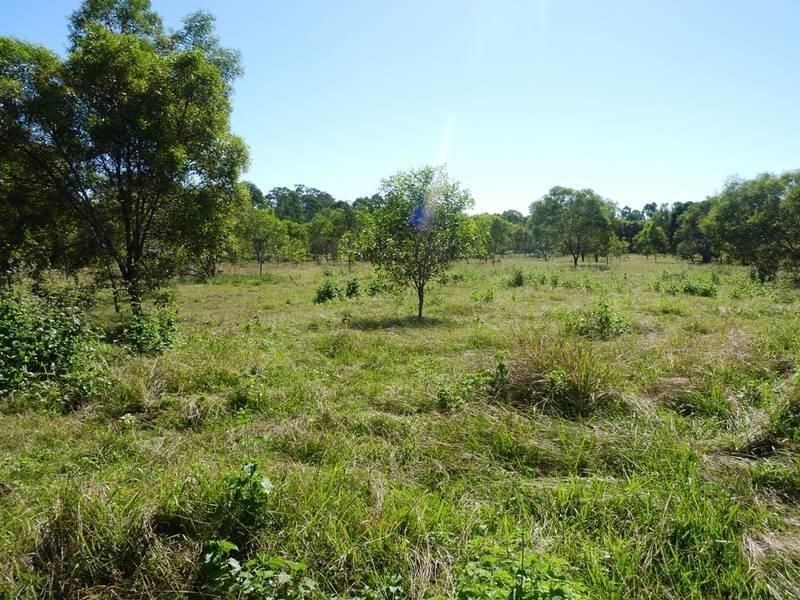 31 Annie Sreet, Howard QLD 4659