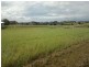 1 Tranquility Court, River Heads QLD 4655