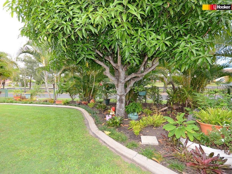 26 Rachael Street, Point Vernon QLD 4655