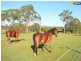 Lot 325 Gregory Street, Howard QLD 4659