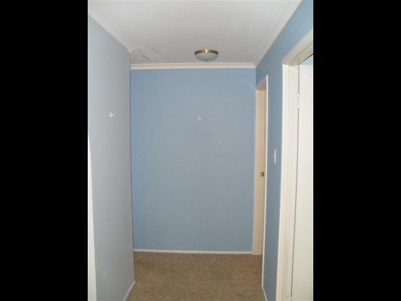 Point Vernon QLD 4655