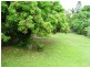 22 Newhaven Street, Pialba QLD 4655