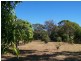 249 Pacific Haven Drive, Burrum Heads QLD 4659