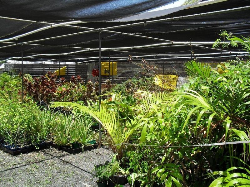 36 Martin Street, Point Vernon QLD 4655