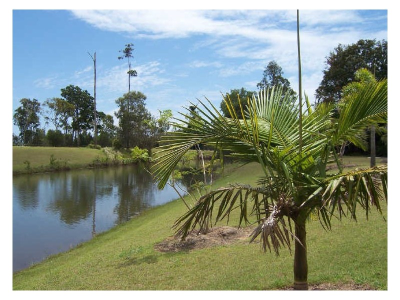 Booral QLD 4655