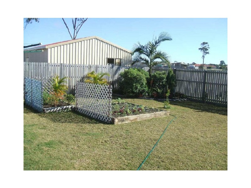 Point Vernon QLD 4655