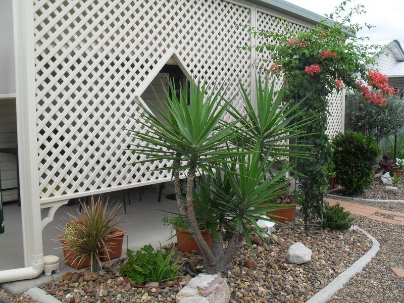 Pialba QLD 4655