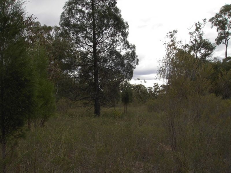 Lot 30 Millmerran Woods Road, Kooroongarra QLD 4357
